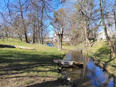 Wieczorek poetycki Gdańsk