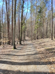 Wieczorek poetycki Gdynia