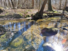 Wieczorek poetycki Gdynia