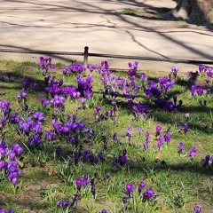 Wieczorek poetycki Szczecin