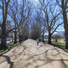 Wieczorek poetycki Szczecin